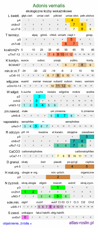 ekologiczne liczby wskaźnikowe Adonis vernalis (miłek wiosenny)