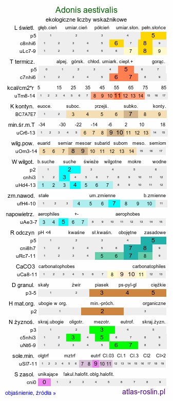 ekologiczne liczby wskaźnikowe Adonis aestivalis (miłek letni)
