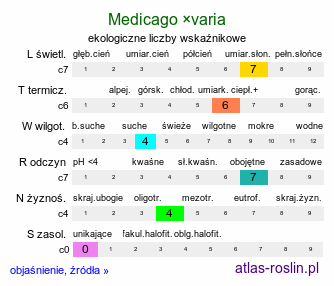 ekologiczne liczby wskaźnikowe Medicago ×varia (lucerna pośrednia)