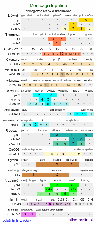 ekologiczne liczby wskaźnikowe Medicago lupulina (lucerna nerkowata)