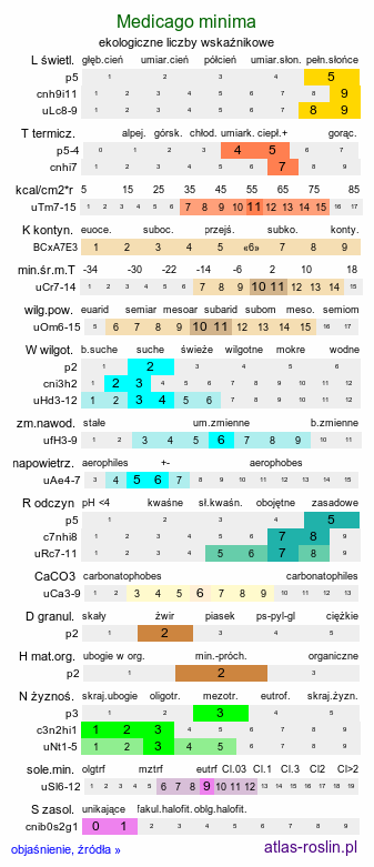 ekologiczne liczby wskaźnikowe Medicago minima (lucerna kolczastostrąkowa)