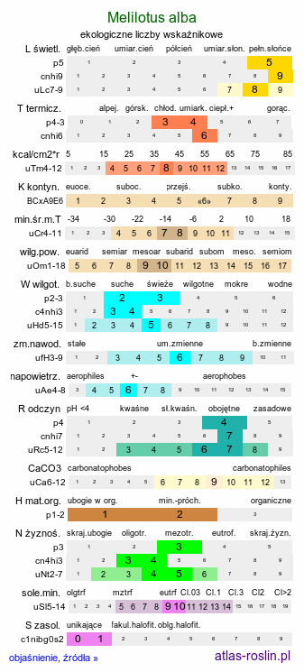 ekologiczne liczby wskaźnikowe Melilotus alba (nostrzyk biały)