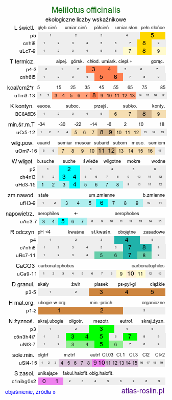 ekologiczne liczby wskaźnikowe Melilotus officinalis (nostrzyk żółty)