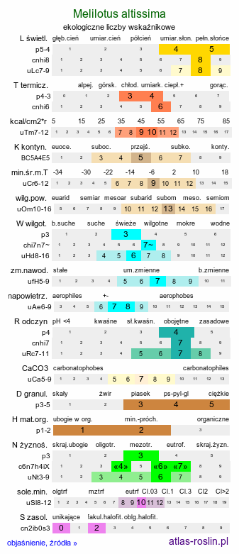 ekologiczne liczby wskaźnikowe Melilotus altissima (nostrzyk wyniosły)