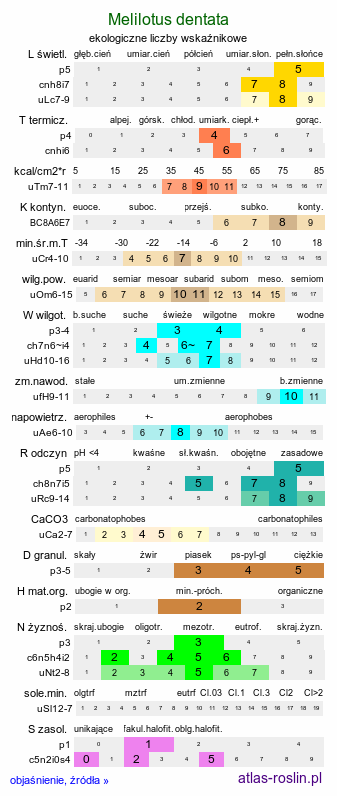 ekologiczne liczby wskaźnikowe Melilotus dentata (nostrzyk ząbkowany)