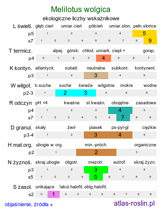 ekologiczne liczby wskaźnikowe Melilotus wolgica (nostrzyk wołżański)