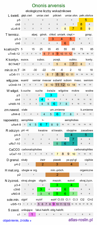 ekologiczne liczby wskaźnikowe Ononis arvensis (wilżyna bezbronna)