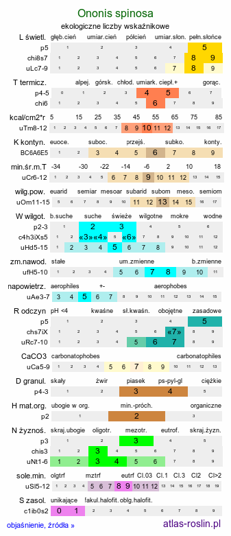 ekologiczne liczby wskaźnikowe Ononis spinosa (wilżyna ciernista)