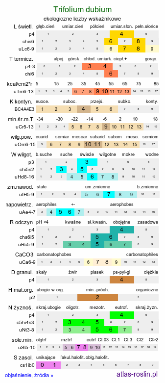 ekologiczne liczby wskaźnikowe Trifolium dubium (koniczyna drobnogłówkowa)