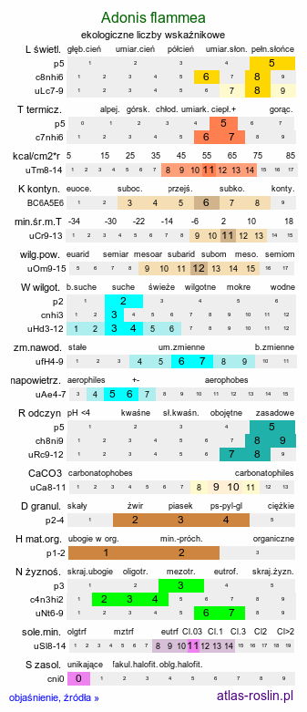ekologiczne liczby wskaźnikowe Adonis flammea (miłek szkarłatny)