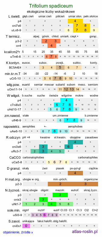 ekologiczne liczby wskaźnikowe Trifolium spadiceum (koniczyna kasztanowata)