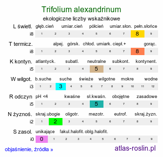 ekologiczne liczby wskaźnikowe Trifolium alexandrinum (koniczyna aleksandryjska)