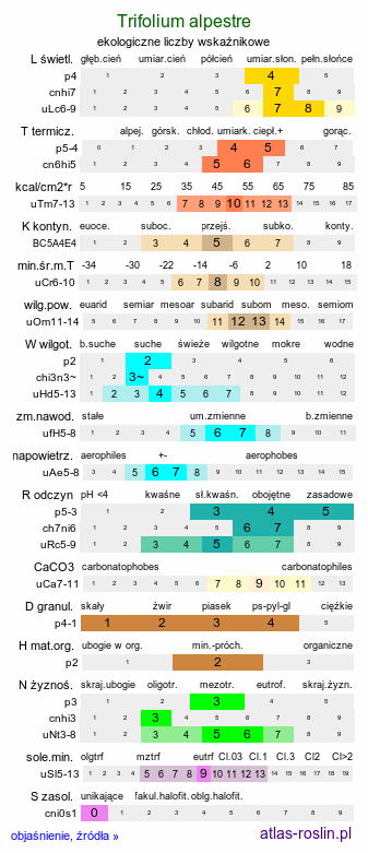 ekologiczne liczby wskaźnikowe Trifolium alpestre (koniczyna dwukłosowa)