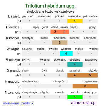 ekologiczne liczby wskaźnikowe Trifolium hybridum agg. (koniczyna białoróżowa (agg.))