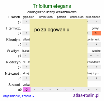 ekologiczne liczby wskaźnikowe Trifolium elegans (koniczyna nadobna)