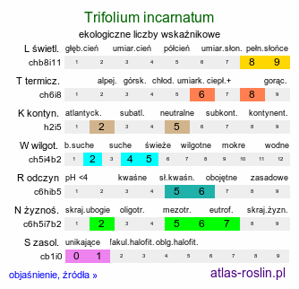 ekologiczne liczby wskaźnikowe Trifolium incarnatum (koniczyna krwistoczerwona)