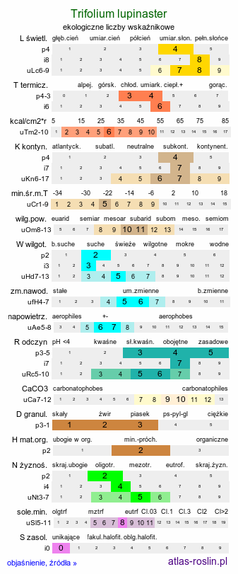 ekologiczne liczby wskaźnikowe Trifolium lupinaster (koniczyna łubinowata)