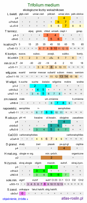 ekologiczne liczby wskaźnikowe Trifolium medium (koniczyna pogięta)