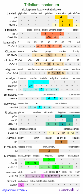 ekologiczne liczby wskaźnikowe Trifolium montanum (koniczyna pagórkowa)