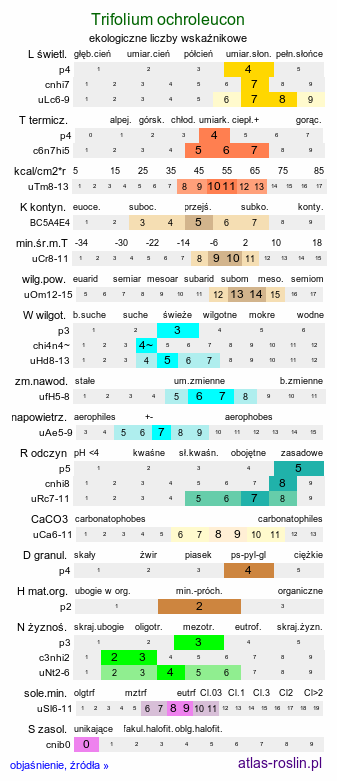 ekologiczne liczby wskaźnikowe Trifolium ochroleucon (koniczyna żółtobiała)