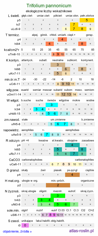 ekologiczne liczby wskaźnikowe Trifolium pannonicum (koniczyna pannońska)