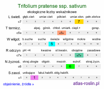 ekologiczne liczby wskaźnikowe Trifolium pratense ssp. sativum