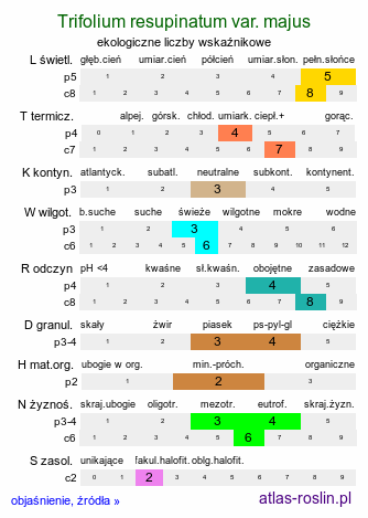 ekologiczne liczby wskaźnikowe Trifolium resupinatum var. majus (koniczyna skręcona większa)