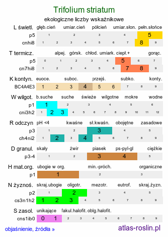 ekologiczne liczby wskaźnikowe Trifolium striatum (koniczyna kreskowana)