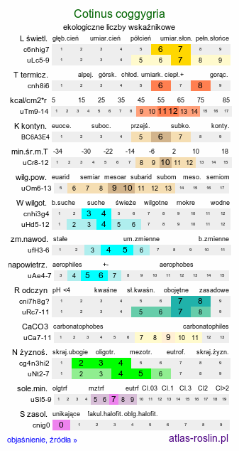 ekologiczne liczby wskaźnikowe Cotinus coggygria (perukowiec podolski)