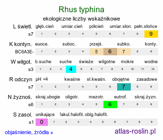 ekologiczne liczby wskaźnikowe Rhus typhina (sumak octowiec)