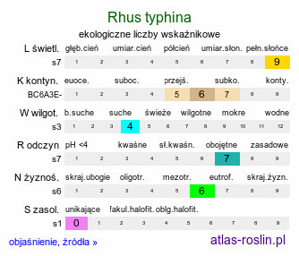 ekologiczne liczby wskaźnikowe Rhus typhina (sumak octowiec)