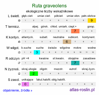 ekologiczne liczby wskaźnikowe Ruta graveolens (ruta zwyczajna)