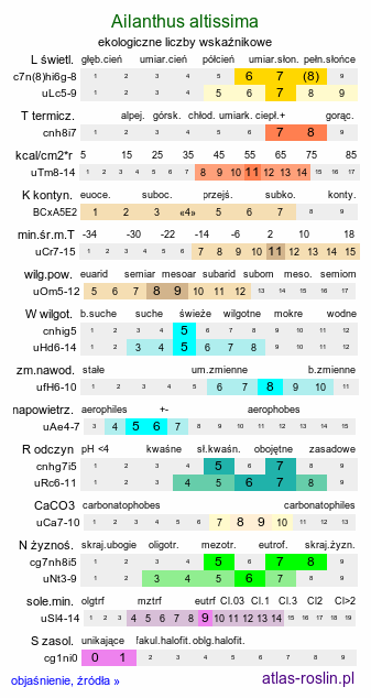 ekologiczne liczby wskaźnikowe Ailanthus altissima (bożodrzew gruczołowaty)