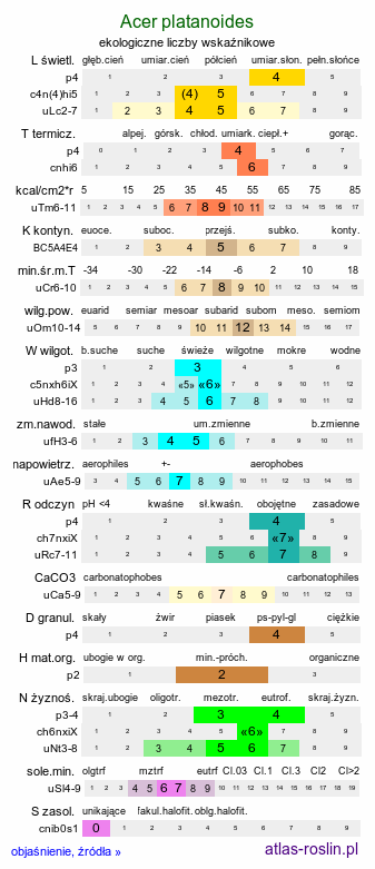 ekologiczne liczby wskaźnikowe Acer platanoides (klon pospolity)