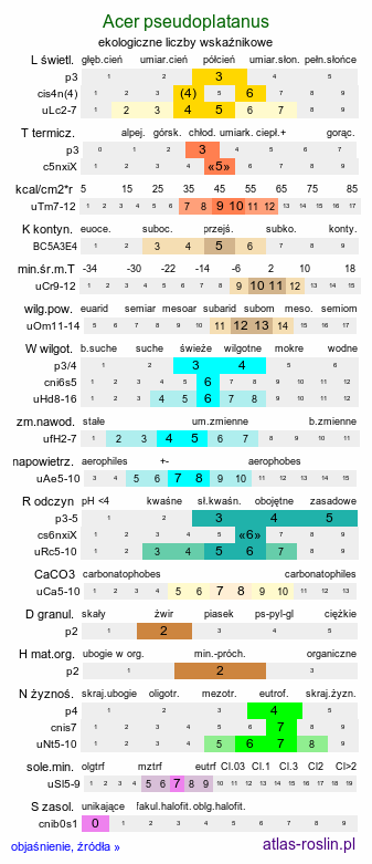 ekologiczne liczby wskaźnikowe Acer pseudoplatanus (klon jawor)