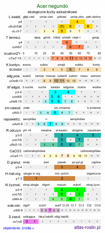 ekologiczne liczby wskaźnikowe Acer negundo (klon jesionolistny)