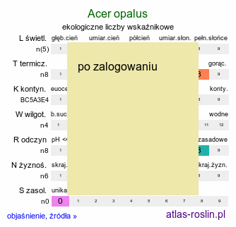 ekologiczne liczby wskaźnikowe Acer opalus (klon włoski)
