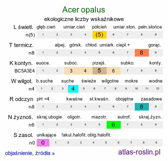 ekologiczne liczby wskaźnikowe Acer opalus (klon włoski)