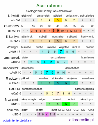 ekologiczne liczby wskaźnikowe Acer rubrum (klon czerwony)