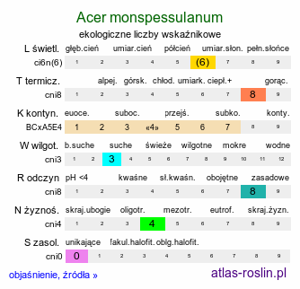 ekologiczne liczby wskaźnikowe Acer monspessulanum (klon francuski)