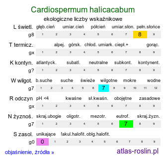 ekologiczne liczby wskaźnikowe Cardiospermum halicacabum (kardiospermum zielone)