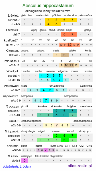 ekologiczne liczby wskaźnikowe Aesculus hippocastanum (kasztanowiec pospolity)