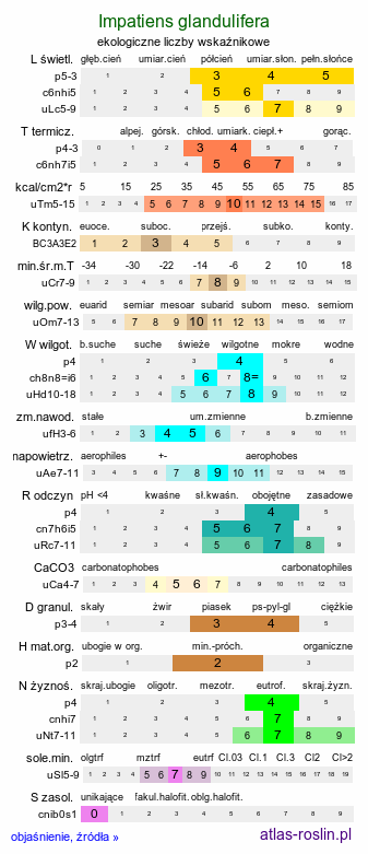 ekologiczne liczby wskaźnikowe Impatiens glandulifera (niecierpek himalajski)