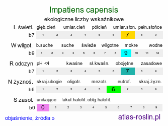 ekologiczne liczby wskaźnikowe Impatiens capensis (niecierpek pomarańczowy)