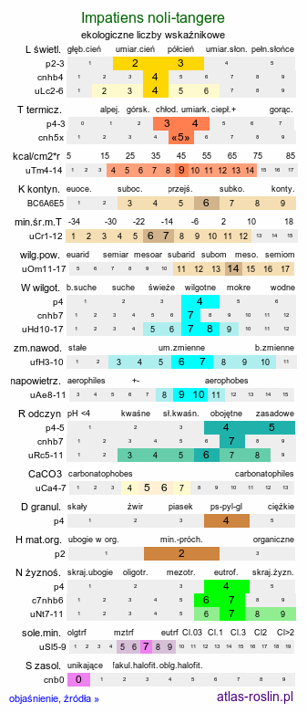 ekologiczne liczby wskaźnikowe Impatiens noli-tangere (niecierpek pospolity)