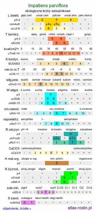 ekologiczne liczby wskaźnikowe Impatiens parviflora (niecierpek drobnokwiatowy)
