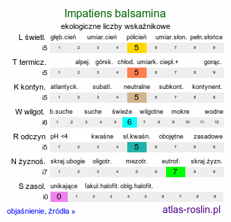 ekologiczne liczby wskaźnikowe Impatiens balsamina (niecierpek balsamina)