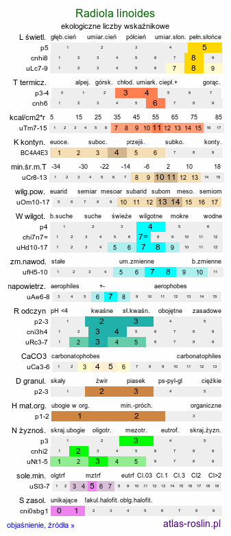 ekologiczne liczby wskaźnikowe Radiola linoides (lenek stoziarn)
