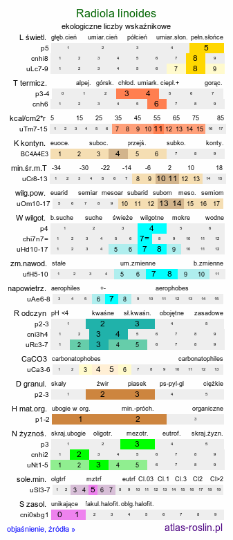 ekologiczne liczby wskaźnikowe Radiola linoides (lenek stoziarn)