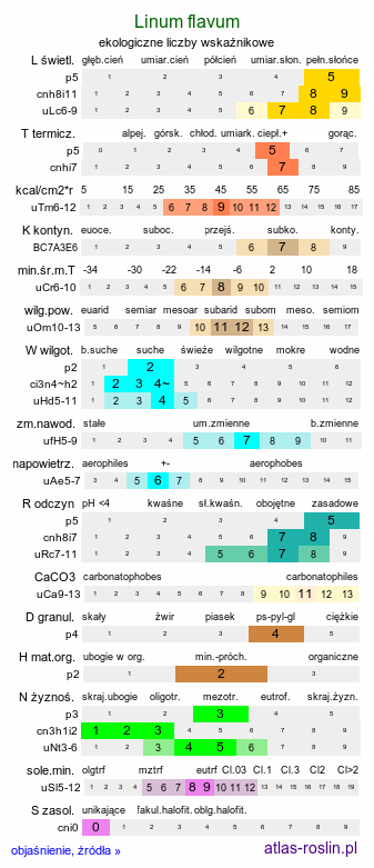 ekologiczne liczby wskaźnikowe Linum flavum (len złocisty)